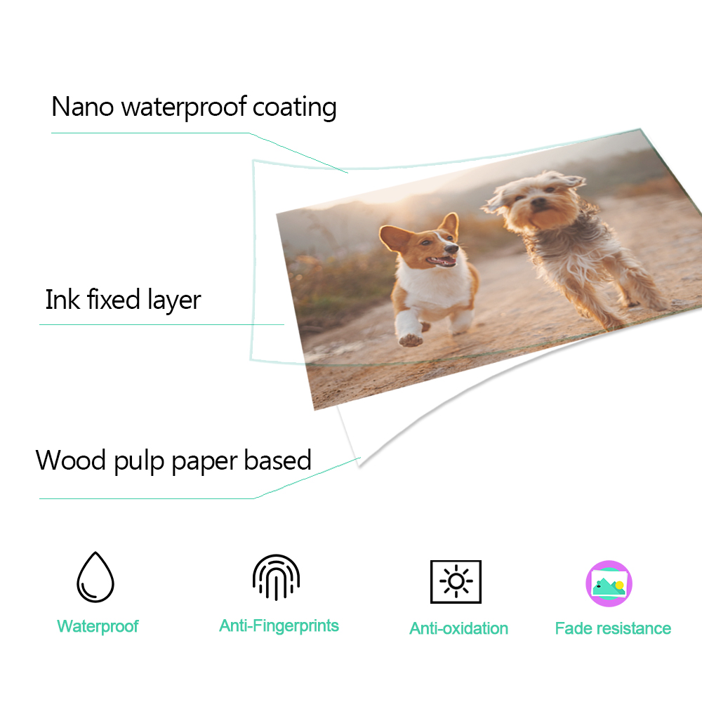1/2/3/4/5Pcs 6 인치 잉크 카트리지 KP 1 - Commercial Photo Printer 리뷰 및 가격